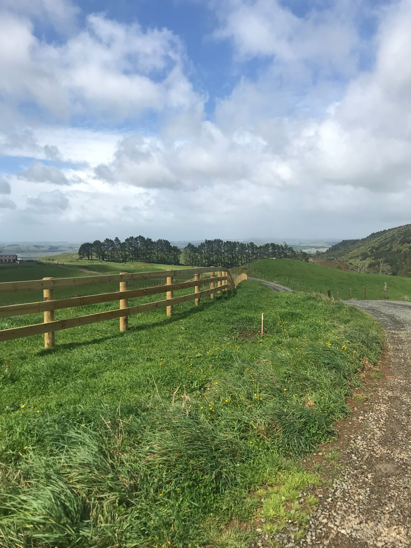 The Auckland Fencing Contractors For Fences That Go The Distance