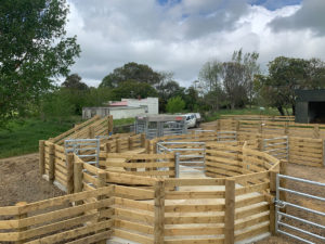 animal run fencing, Auckland