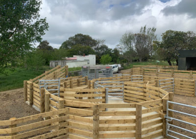 animal run fencing, Auckland